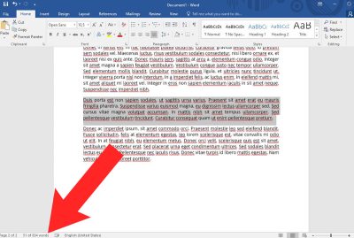 word kiek žodžių pasirinktame tekste