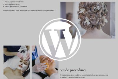 kaip susikurti wordpress interneto svetainę video